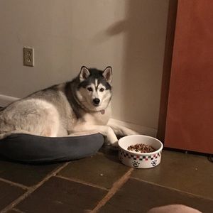 Meet your Posher, Brad